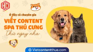 Viết content spa thú cưng cần chỉn chu, hấp dẫn
