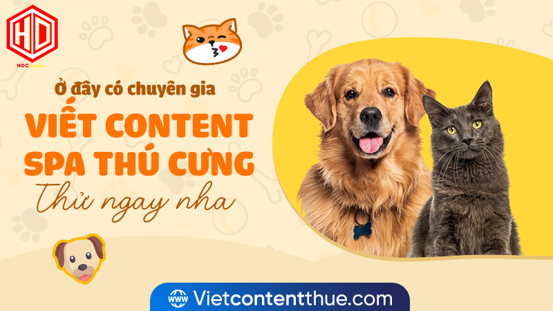 Viết content spa thú cưng cần chỉn chu, hấp dẫn
